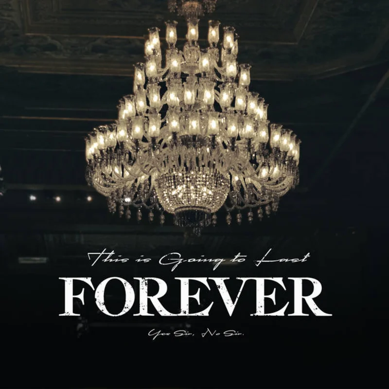 Yes Sir, No Sir - This Is Going To Last Forever (Vinyl)