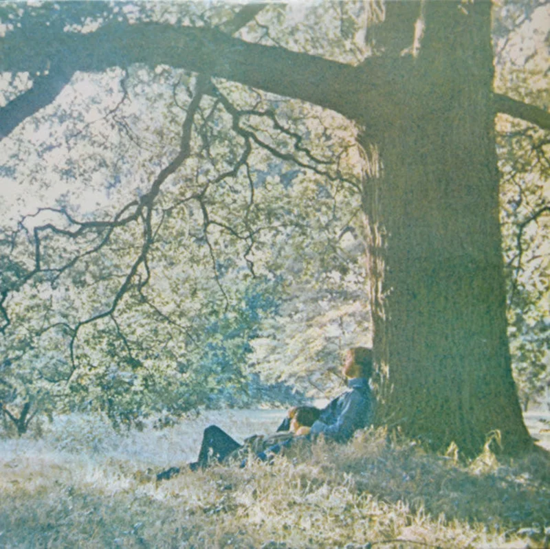 Yoko Ono / The Plastic Ono Band - Plastic Ono Band (Vinyl)