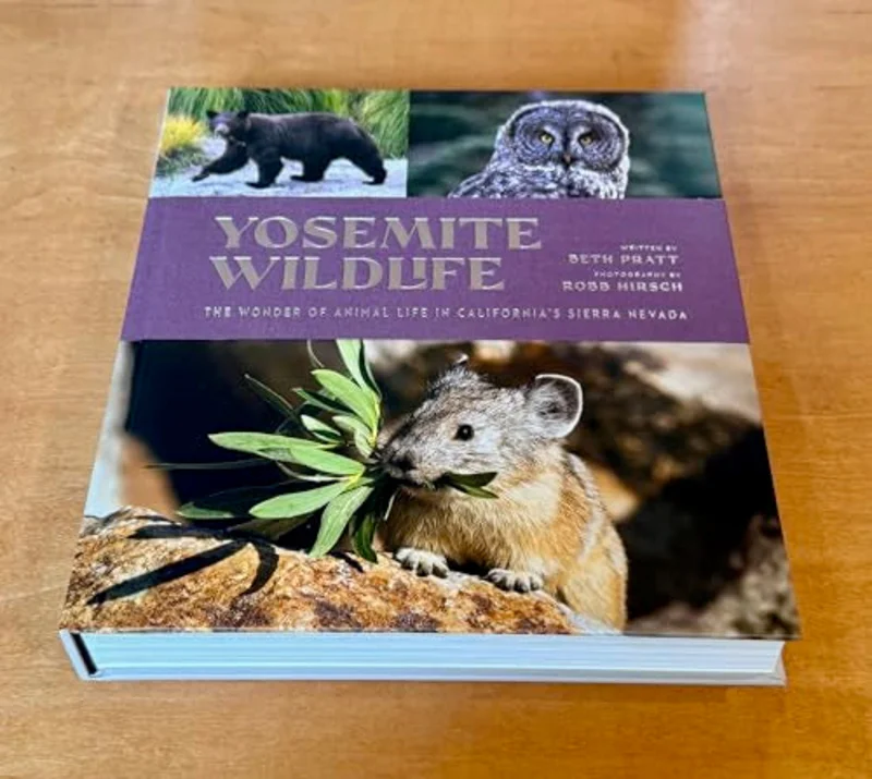 Yosemite Wildlife : The Wonder of Animal Life in California's Sierra Nevada